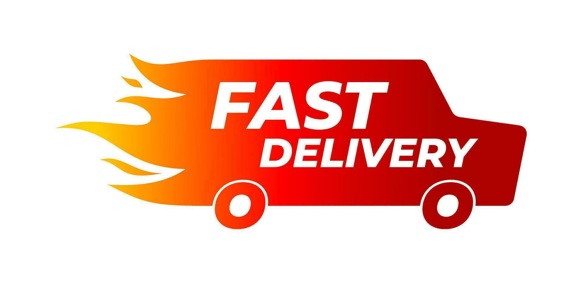Fast Delivery within 24-72 Hours