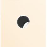 SPAREWARE® Replacement Back panel Back Glass Body Panel For iPhone 12 Pro Max -Gold (WITH ALL LOGO)