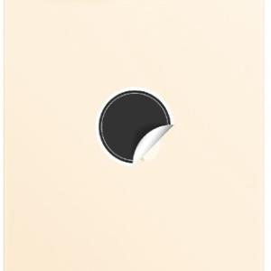 SPAREWARE® Replacement Back panel Back Glass Body Panel For iPhone 12 Pro Max -Gold (WITH ALL LOGO)
