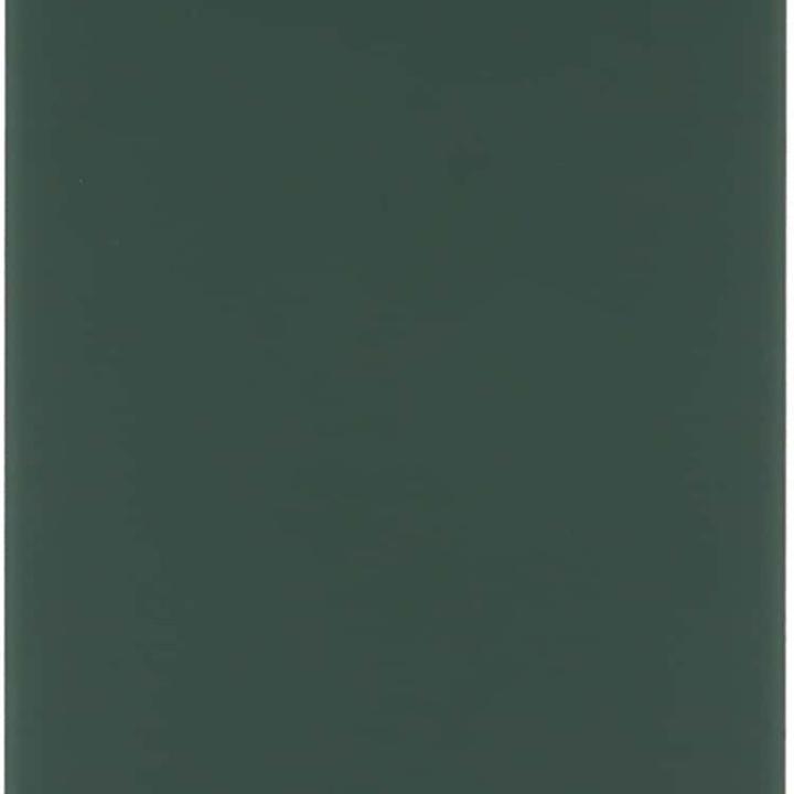 SPAREWARE® Replacement Back panel Back Glass Body Panel For iPhone 13 Mini -Green (WITH ALL LOGO)