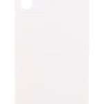 SPAREWARE® Replacement Back panel Back Glass Body Panel For iPhone 12 -White (WITH ALL LOGO)