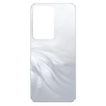 SPAREWARE® Back Panel Back Door Panel Body Cover For Realme C75 5G -Silver (WITH ALL LOGO)