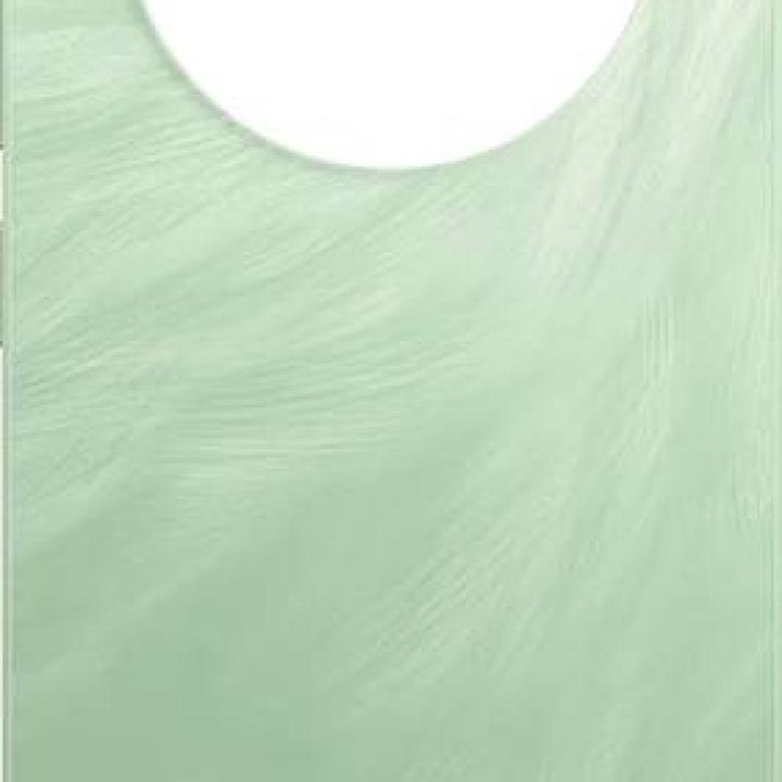 SPAREWARE® Back Panel Back Door Panel Body Cover For Realme C65 -Light Green (WITH ALL LOGO)