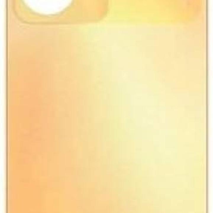 SPAREWARE® Back Door Panel Body Back Panel For Vivo Y56 -Gold (WITH ALL LOGO)